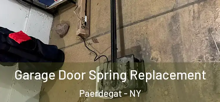  Garage Door Spring Replacement Paerdegat - NY