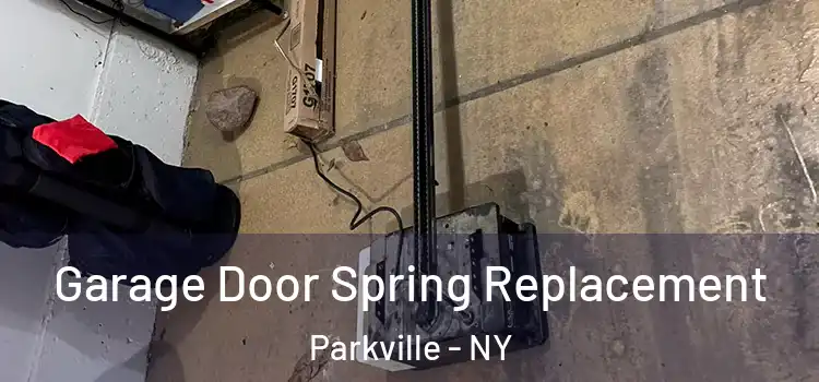  Garage Door Spring Replacement Parkville - NY