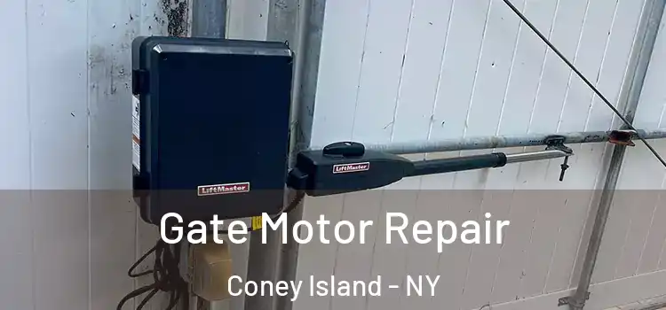 Gate Motor Repair Coney Island - NY