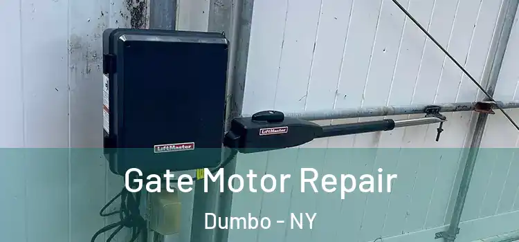  Gate Motor Repair Dumbo - NY