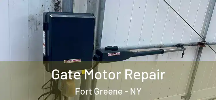 Gate Motor Repair Fort Greene - NY