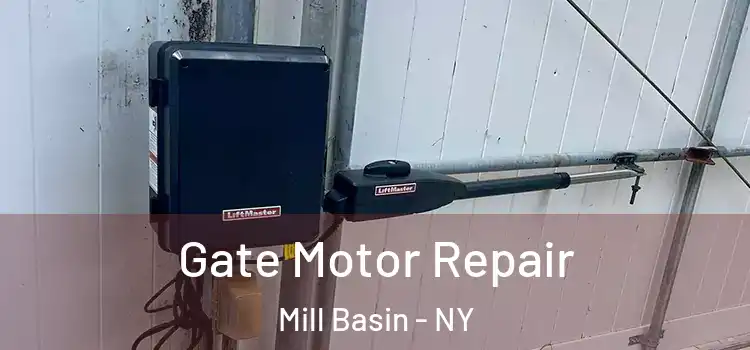 Gate Motor Repair Mill Basin - NY