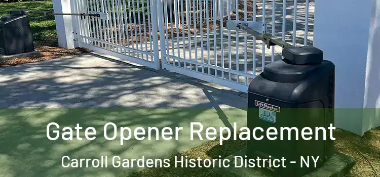 Gate Opener Replacement Carroll Gardens Historic District - NY