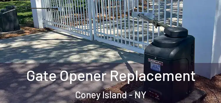 Gate Opener Replacement Coney Island - NY