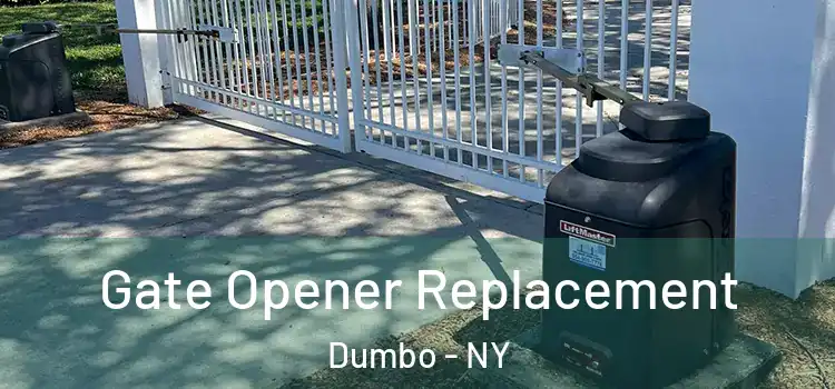 Gate Opener Replacement Dumbo - NY