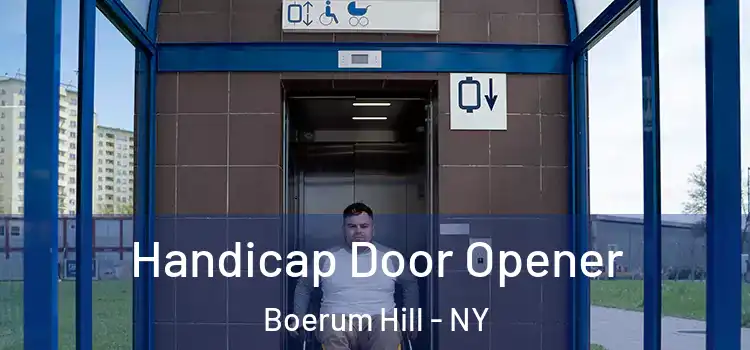 Handicap Door Opener Boerum Hill - NY