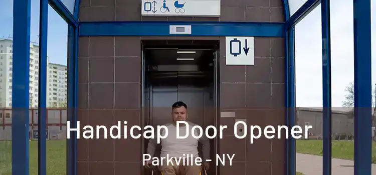  Handicap Door Opener Parkville - NY