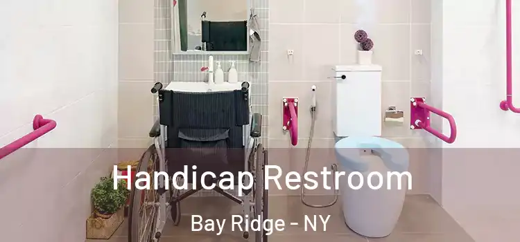  Handicap Restroom Bay Ridge - NY