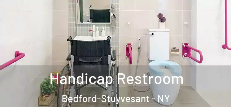 Handicap Restroom Bedford-Stuyvesant - NY