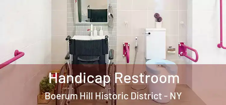 Handicap Restroom Boerum Hill Historic District - NY