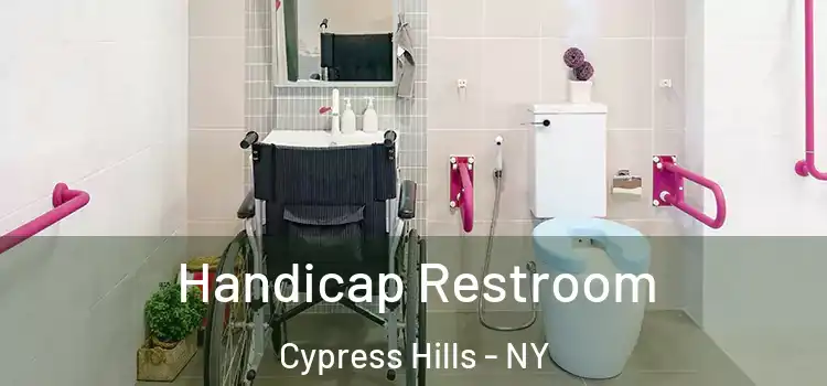 Handicap Restroom Cypress Hills - NY