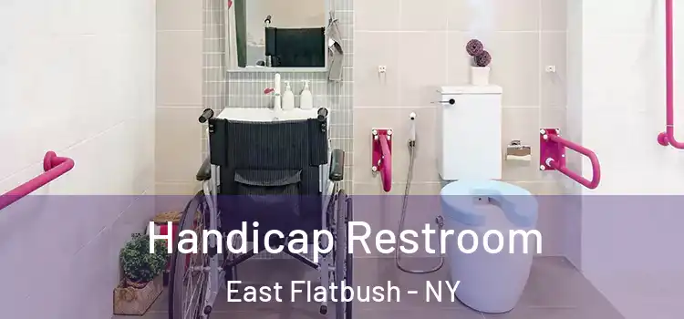  Handicap Restroom East Flatbush - NY
