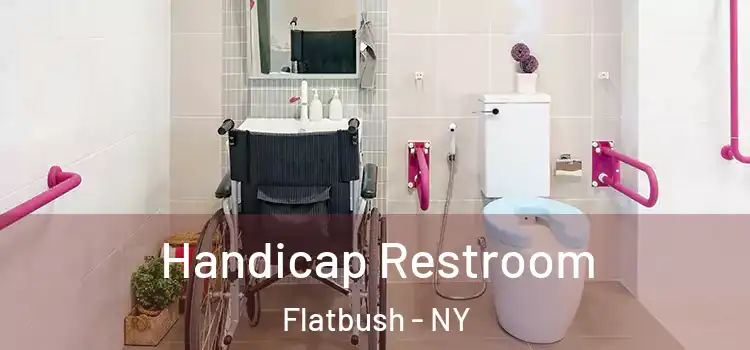  Handicap Restroom Flatbush - NY