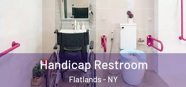 Handicap Restroom Flatlands - NY
