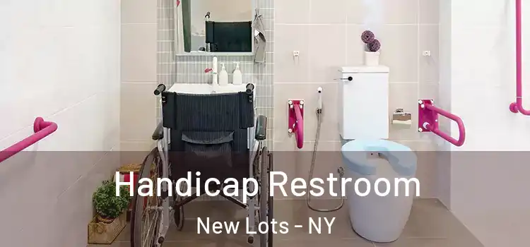 Handicap Restroom New Lots - NY