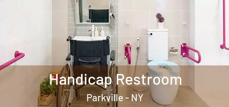 Handicap Restroom Parkville - NY