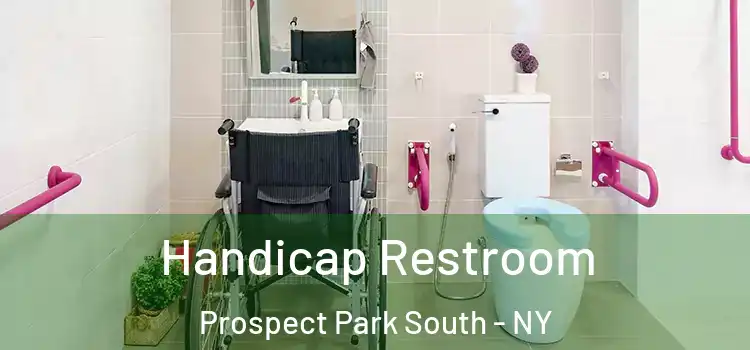 Handicap Restroom Prospect Park South - NY