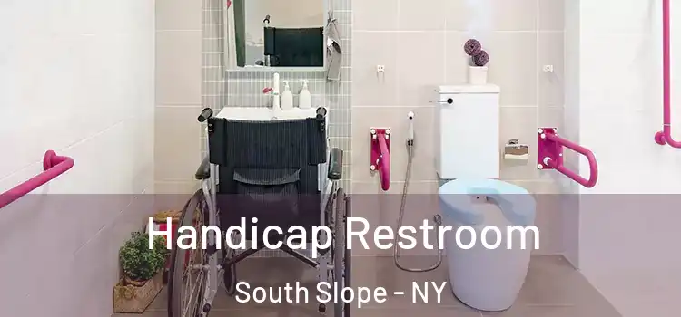 Handicap Restroom South Slope - NY