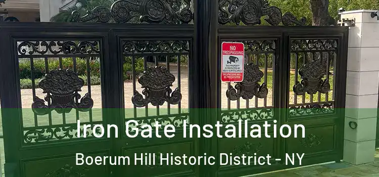 Iron Gate Installation Boerum Hill Historic District - NY