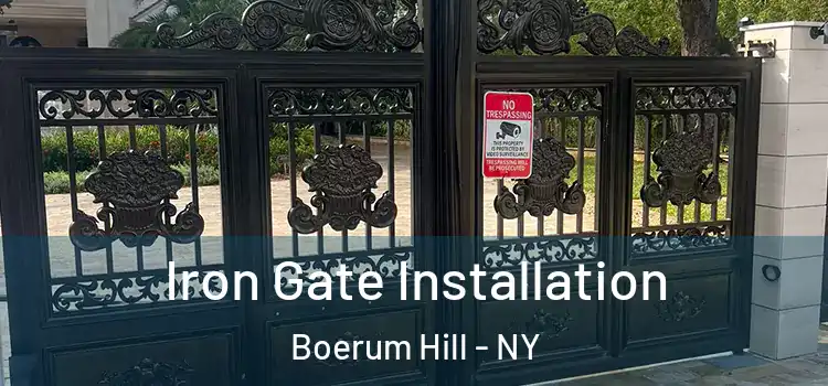 Iron Gate Installation Boerum Hill - NY