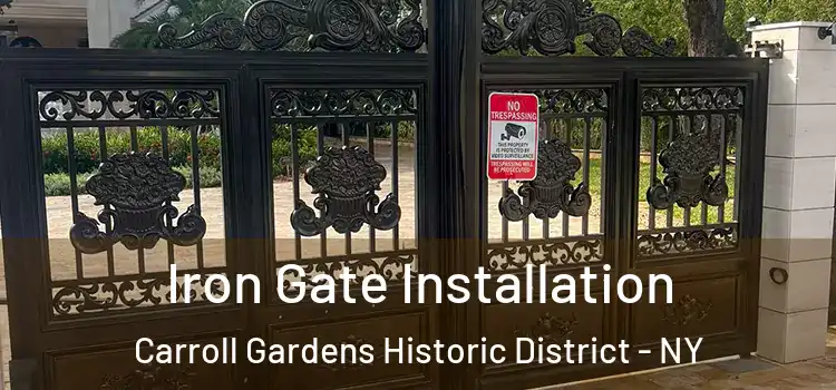 Iron Gate Installation Carroll Gardens Historic District - NY