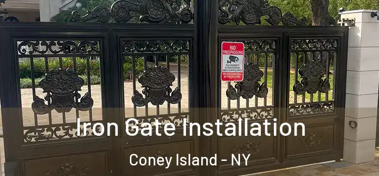  Iron Gate Installation Coney Island - NY