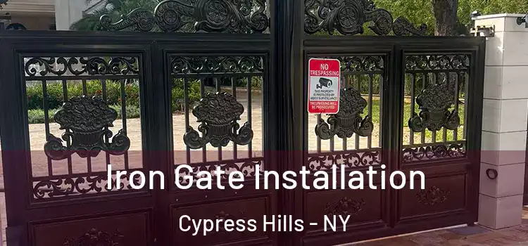  Iron Gate Installation Cypress Hills - NY