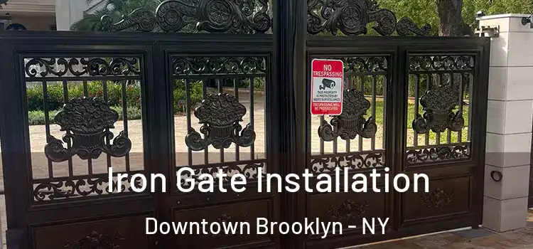 Iron Gate Installation Downtown Brooklyn - NY