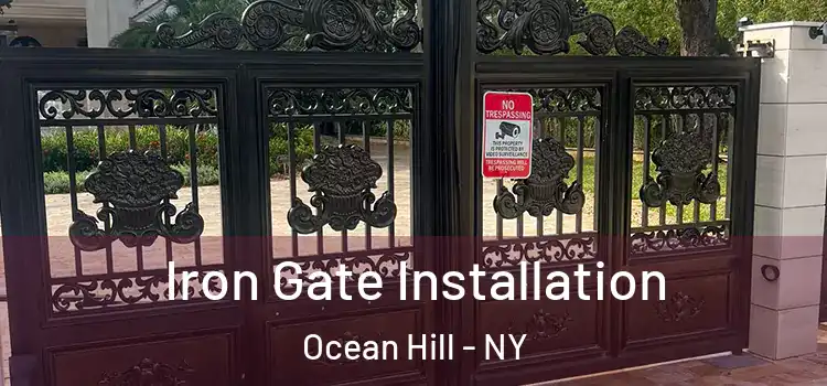 Iron Gate Installation Ocean Hill - NY