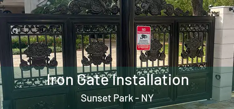 Iron Gate Installation Sunset Park - NY