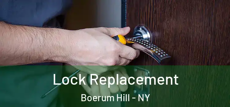  Lock Replacement Boerum Hill - NY