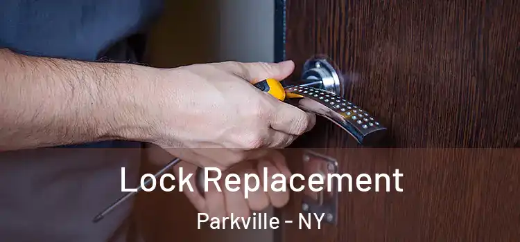  Lock Replacement Parkville - NY