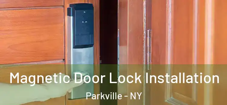  Magnetic Door Lock Installation Parkville - NY