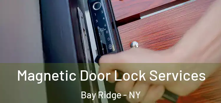  Magnetic Door Lock Services Bay Ridge - NY