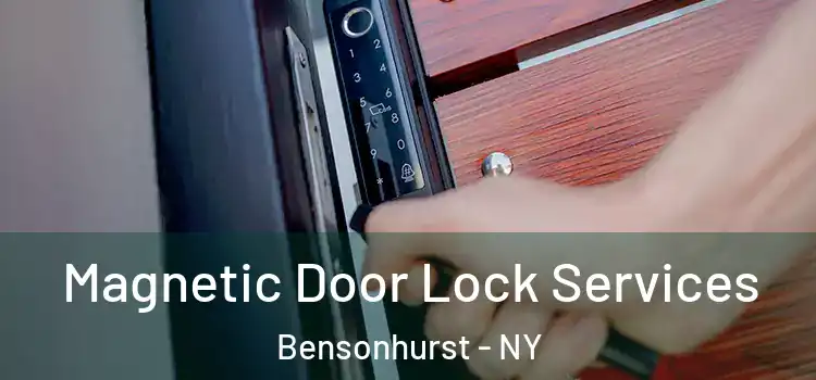 Magnetic Door Lock Services Bensonhurst - NY