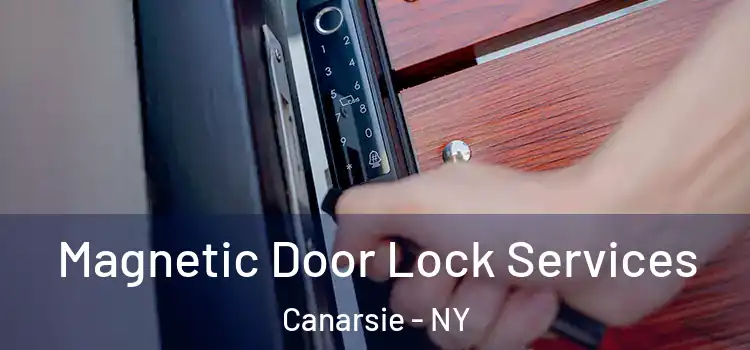 Magnetic Door Lock Services Canarsie - NY