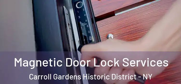 Magnetic Door Lock Services Carroll Gardens Historic District - NY