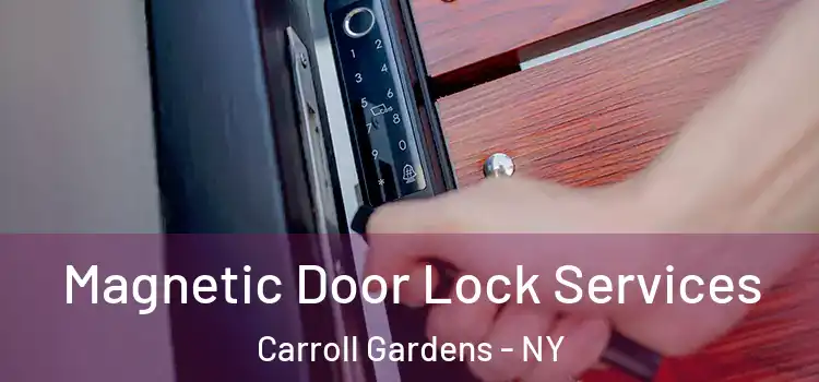 Magnetic Door Lock Services Carroll Gardens - NY