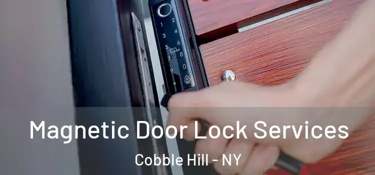 Magnetic Door Lock Services Cobble Hill - NY