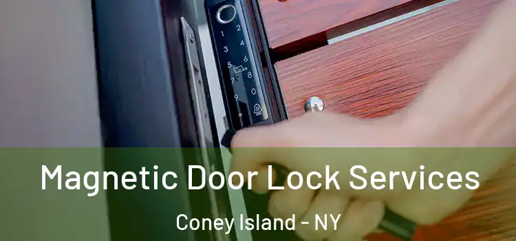 Magnetic Door Lock Services Coney Island - NY