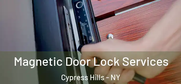 Magnetic Door Lock Services Cypress Hills - NY