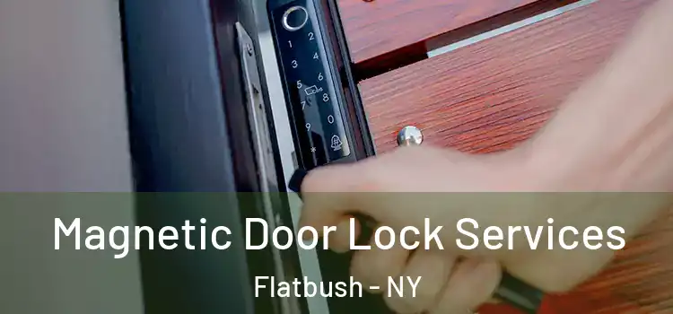 Magnetic Door Lock Services Flatbush - NY