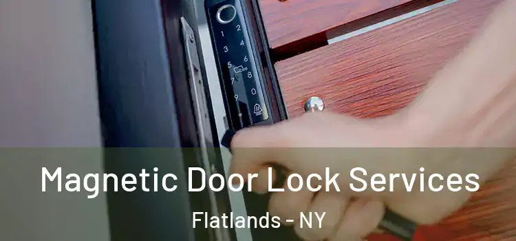 Magnetic Door Lock Services Flatlands - NY