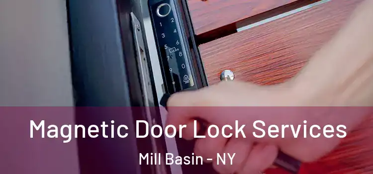 Magnetic Door Lock Services Mill Basin - NY