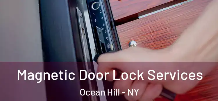 Magnetic Door Lock Services Ocean Hill - NY