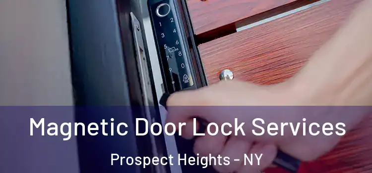 Magnetic Door Lock Services Prospect Heights - NY