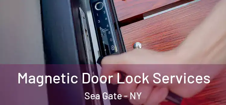 Magnetic Door Lock Services Sea Gate - NY