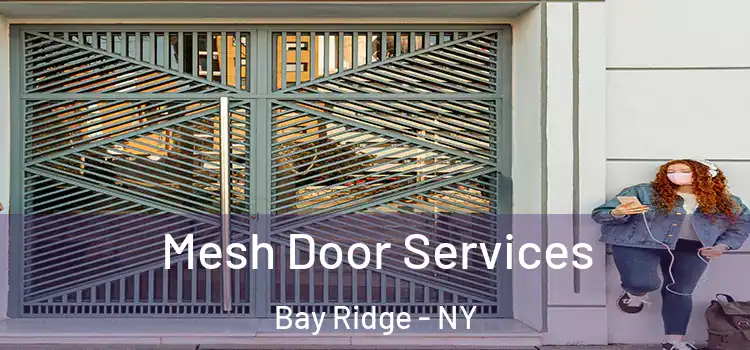  Mesh Door Services Bay Ridge - NY