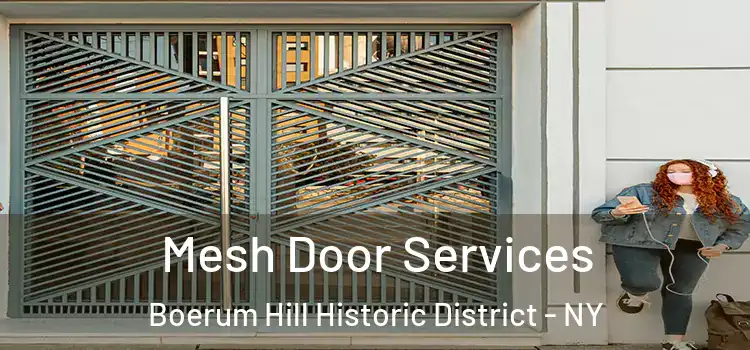 Mesh Door Services Boerum Hill Historic District - NY