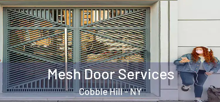 Mesh Door Services Cobble Hill - NY